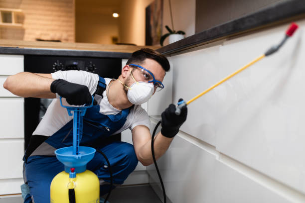 Best Exterminator Services  in Lincoln Village, OH