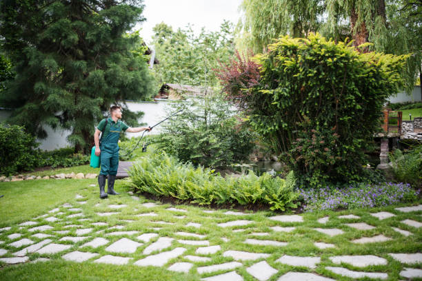 Best Ant Control Services  in Lincoln Village, OH