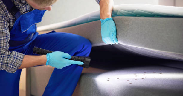 Pest Control Cost in Lincoln Village, OH