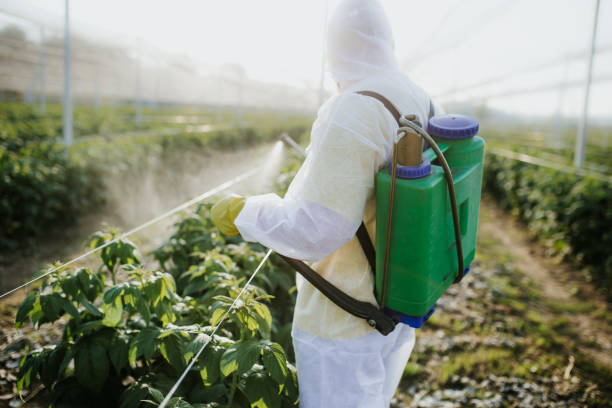 Lincoln Village, OH Pest Control Company